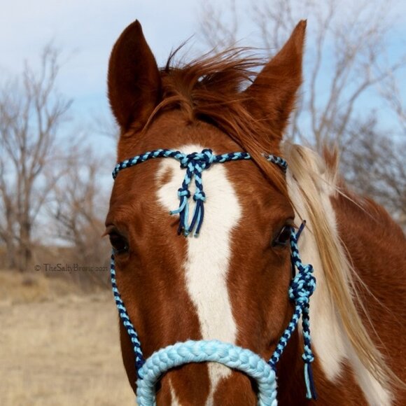 Handmade Soft Cotton Rope Loping Hackamore w/ Braided Headstall & Split Reins - Picture 2 of 12